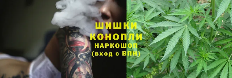 где найти наркотики  Балашов  Конопля SATIVA & INDICA 